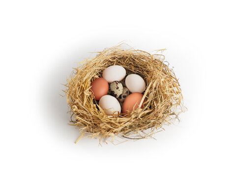 Characteristic 3 type eggs: chicken, duck, quail.