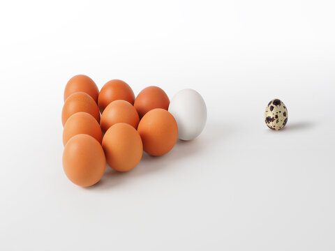 Characteristic 3 type eggs: chicken, duck, quail.