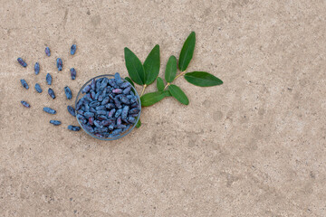 honeysuckle berries on a concrete background.