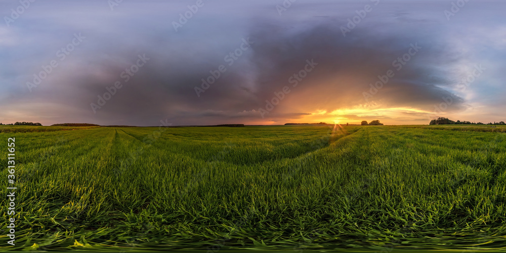 Wall mural full spherical hdr panorama 360 degrees angle view among fields in summer evening sunset with beauti
