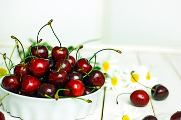 Ripe tasty juicy cherry in a white plate next to field daisies on a white background. Berry still life with flowers, summer background