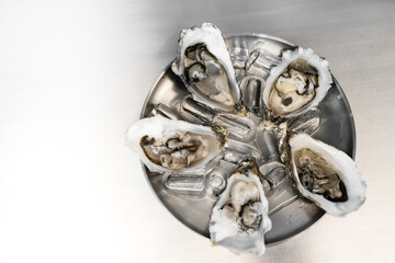 Fresh oysters in a plate of ice and lemon. Seafood