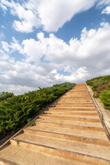 Angular view of stairs surrounded by greenery, blue sky with white clouds, vertical