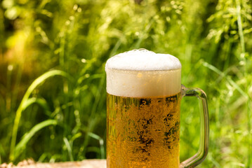 A glass of cold fresh live beer. Beer in the forest. Beer mug and stockfish on a background of open...