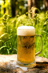 A glass of cold fresh live beer. Beer in the forest. Beer mug and stockfish on a background of open nature. Oktoberfest Festival.