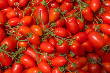 tomatoes on the market
