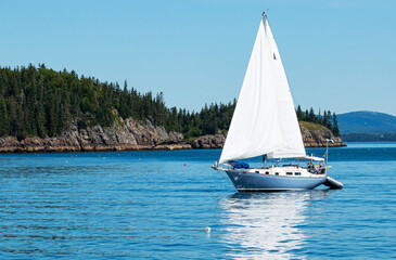 Obraz premium Sailboat in Frenchman Bay with porcupine islsnd in background by Bar Harbor Maine