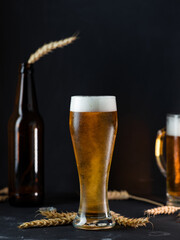 Cold light beer in a glass on a dark table.