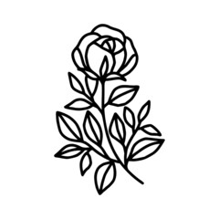 Hand drawn rose flower element. Floral line art for feminine logo, icon, business card, wedding invitation, or decoration