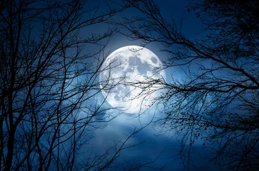 Papier Peint photo autocollant Pleine lune La silhouette d& 39 un arbre d& 39 halloween effrayant à branches nues contre un ciel nocturne bleu d& 39 hiver avec une pleine lune et des nuages