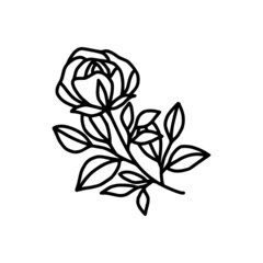 Hand drawn rose flower element. Floral line art for feminine logo, icon, business card, wedding invitation, or decoration