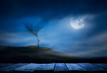 A halloween spooky lone bare branch tree in an isolated moors landscape at night with a full moon...