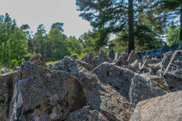 Fototapeta na wymiar Stones in Stockholm archipelago. Photo of swedish nature. Scandinavia. North Europe.