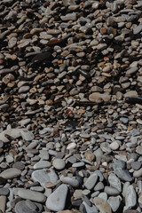 Sea stones. Pebble beach. A beach made of stones.