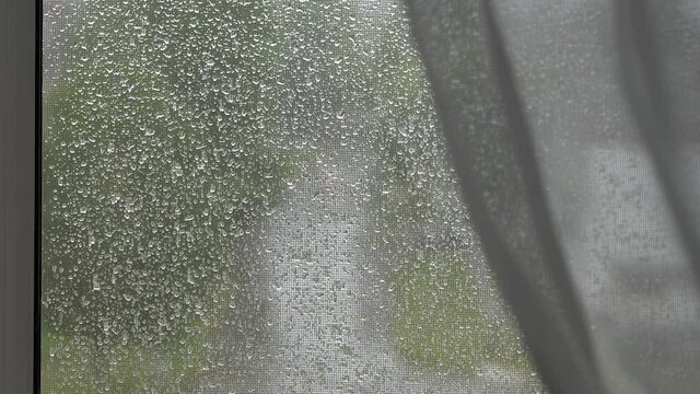 Rainy weather. Mosquito net ON THE WINDOW. Raindrops on a mosquito net.