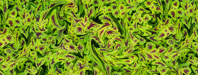 green exotic abstract leave nature banner illustration background