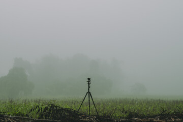 Naklejka premium Foggy countryside.