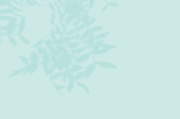 Obraz premium Summer background of shadows branch leaves on a wall for overlaying a photo or mockup
