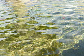 Fototapeta na wymiar Superfície de agua verdosa en fuente de parque público en un día soleado de verano en Ferrol, Galicia, España