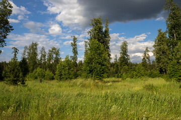 photo of the Russian field