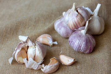 Dry heads and cloves of garlic on a canvas surface background