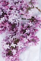 Beautiful bouquet of lilac on white paper 