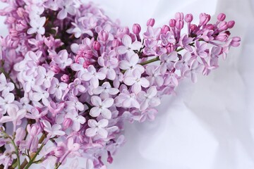 Beautiful bouquet of lilac on white paper 