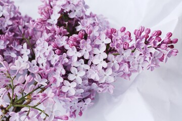 Beautiful bouquet of lilac on white paper 