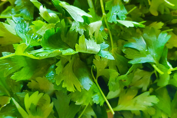 Fototapeta na wymiar Fresh green salad with spinach, arugula, romaine and lettuce