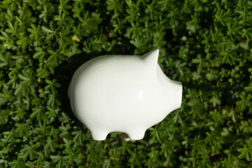 saving box - cash money finance capital concept wealth