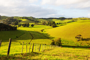 Fototapeta na wymiar New Zealand hills