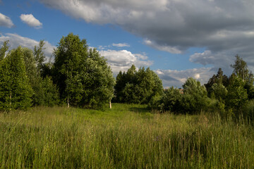 photo of the Russian field