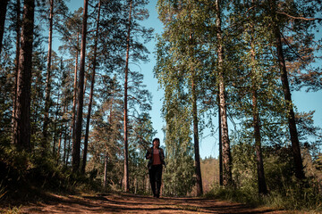 Fototapeta premium camping in the woods. girl in a hat with a backpack walks through the woods.