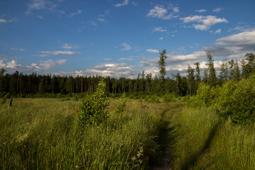 photo of the Russian field