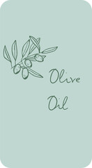 Label, sticker on a bottle of olive oil. Italian cuisine. Hand drawn Illustration in vector.