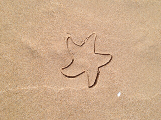 Fototapeta na wymiar Beach. Natural background. Print on the wet sand from a children's toy in the shape of a starfish