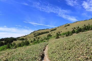 瓶ヶ森　初夏の登山を楽しむ（四国）