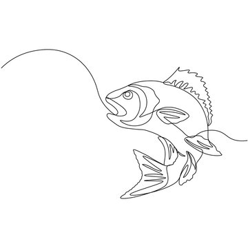 Perch. One line fish design silhouette. Logo design. Hand drawn minimalism style vector illustration.
