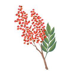 赤い実の植物イラストカット
