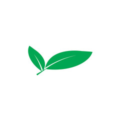 Leaf icon vector
