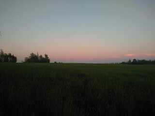 sunrise over the field