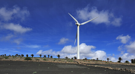 wind turbine