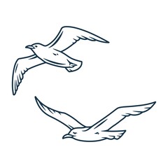 Obraz premium Seagull in the sky for nautical marine logo