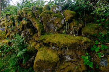 um dia no Parque Nacional Peneda-Gerês