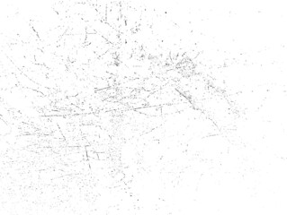 Designed Grunge Background Texture. Vector .