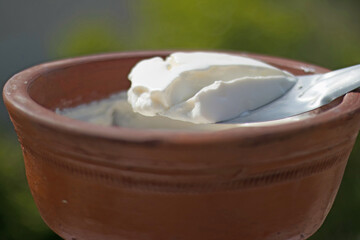 Home made curd in a earthen bowl