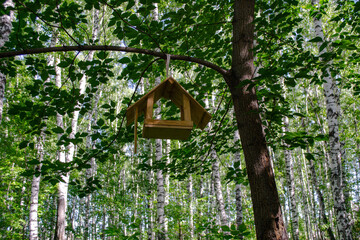 bird house on a tree