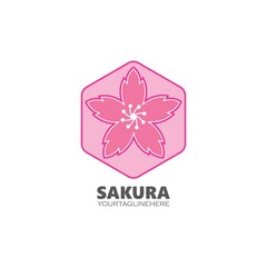 sakura flower vector illustration design