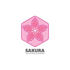 sakura flower vector illustration design