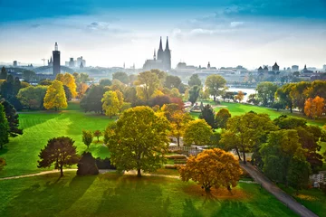 Blick im Herbst über den Rheinpark auf den Kölner Dom © Tom Bayer